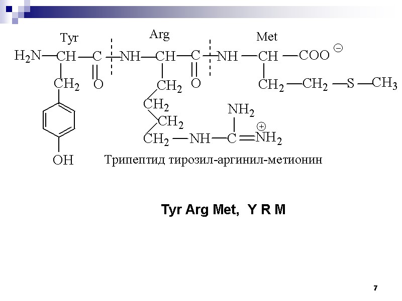 7 Tyr Arg Met,  Y R M